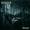 Pochette Burzum - Der Tod Wuotans Burzum - Der Tod Wuotans