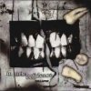 Pochette In Strict Confidence - Die Sieben Siegel In Strict Confidence - Die Sieben Siegel