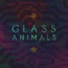 Pochette Glass Animals - Psylla Glass Animals - Psylla