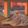 Pochette Polar Son - Gangrene Polar Son - Gangrene