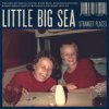 Pochette Little Big Sea - Seconds Little Big Sea - Seconds