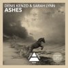 Pochette Denis Kenzo & Sarah Lynn - Ashes Denis Kenzo & Sarah Lynn - Ashes