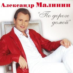 Pochette Александр Малинин - Клен