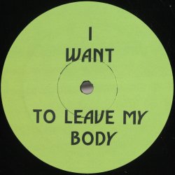 Pochette Green Velvet - I Want To Leave My Body