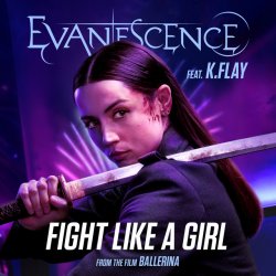 Pochette Evanescence & K.Flay - Fight Like A Girl