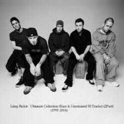 Pochette Limp Bizkit - Phat Groove
