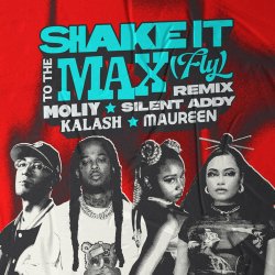 Pochette MOLIY & Silent Addy - Shake It To The Max (FLY) [Kalash & Maureen Remix]