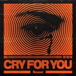 Pochette Ilyaa - Cry for You