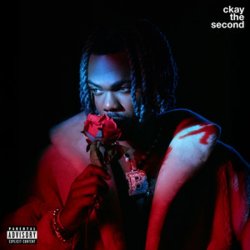Pochette CKay - permit me