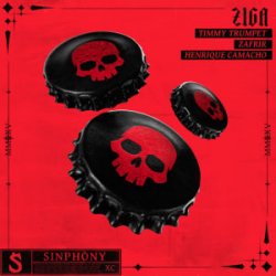 Pochette Timmy Trumpet & Zafrir & Henrique Camacho - Ziga