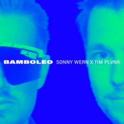 Pochette Sonny Wern & TIM PLVNK - Bamboleo