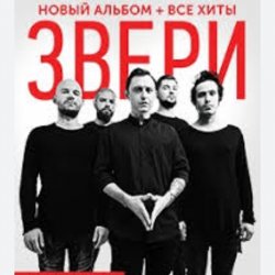 Pochette Рома Зверев - Все что тебя касается