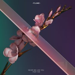 Pochette Flume - Never Be Like You (Feat. Kai)