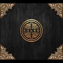 Pochette Kaleo - Ísland er land þitt