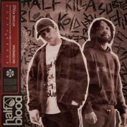 Pochette Skybreak & Subten - STONE KOLD