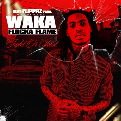 Pochette Waka Flocka Flame - Introduction Fight