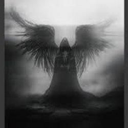 Pochette skyfall beats - mystica