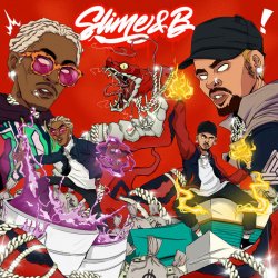 Pochette Chris Brown & Young Thug - Go Crazy