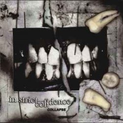 Pochette In Strict Confidence - Burning Angel (Remix)