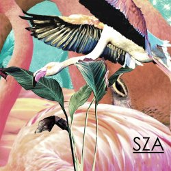 Pochette SZA - Castles