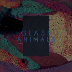 Pochette Glass Animals - Exxus