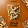 Pochette Sean Paul - Ginger Sean Paul - Ginger
