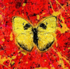 Pochette Ed Sheeran - Shivers Ed Sheeran - Shivers