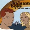 Pochette Balsam Boys - Dinga Linga Lena (Stone & JJ's Club Mix) Balsam Boys - Dinga Linga Lena (Stone & JJ's Club Mix)