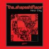 Pochette The Shapeshifters - New day The Shapeshifters - New day