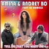 Pochette Andrey Bo & Amina - Tell Me That You Want Me (Kim Sanders Cover) Andrey Bo & Amina - Tell Me That You Want Me (Kim Sanders Cover)
