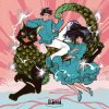 Limi & Josh Tu - Photosynthesis