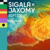 Pochette Sigala & Jaxomy - Riptide (feat. Ilan Kidron) Sigala & Jaxomy - Riptide (feat. Ilan Kidron)