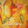 Pochette Frode Wassvik - Sense Of Spring Frode Wassvik - Sense Of Spring