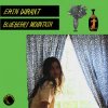 Pochette Erin Durant - Blueberry Mountain Erin Durant - Blueberry Mountain