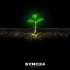 Pochette SYNC24 - Bioluminescent Creatures SYNC24 - Bioluminescent Creatures