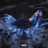 Pochette Cloves - Sicko Cloves - Sicko