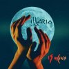 Pochette Illaria - Вербовая дощечка Illaria - Вербовая дощечка