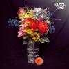 Rocco Vice - Eiskrem