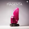 Pochette Giuseppe Ottaviani & Ferry Corsten - Magenta (Fisherman Remix) Giuseppe Ottaviani & Ferry Corsten - Magenta (Fisherman Remix)
