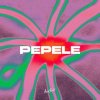 Pochette AFRONOM & Lucas Estrada & Idd Aziz - Pepele AFRONOM & Lucas Estrada & Idd Aziz - Pepele