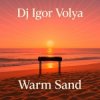 Pochette DJ Igor Volya - Warm Sand DJ Igor Volya - Warm Sand