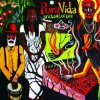 Pochette Pura Vida - Seasons of Life Pura Vida - Seasons of Life