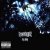Pochette Gravediggaz - Understand The Message