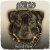Pochette Dogg Master - Let Your Body Move