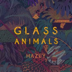 Pochette Glass Animals - Hazey