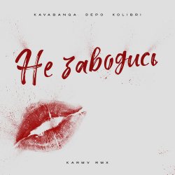 Pochette kavabanga Depo kolibri - Не заводись (karmv rmx)