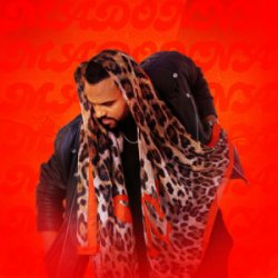 Pochette Mohombi - Mamadona