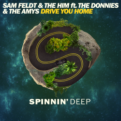 Pochette Sam Feldt & The Him ft. The Donnies The Amys - Drive You Home (Original Mix)
