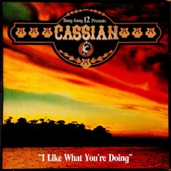 Pochette Cassian - I Like What You're Doing (Lorenz Rhodes Dangerous Mix)