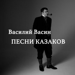 Pochette Вася Васин - Казачьи частушки